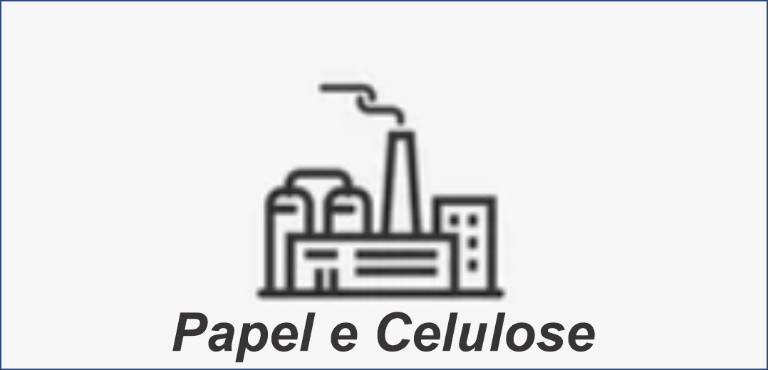 papel e celulose