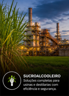 1- SUCROALCOOLEIRA