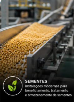 4- SEMENTES